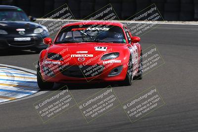 media/Mar-15-2025-CalClub SCCA (Sat) [[f66681bc18]]/Group 2/Race (Turn 6)/